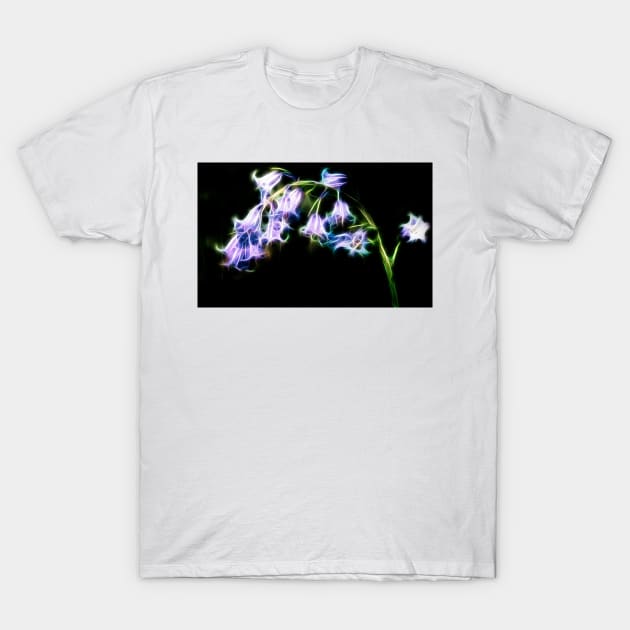 Bluebell T-Shirt by GrahamPrentice